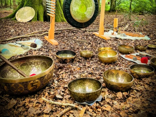 Bols tibétains et gong en forêt